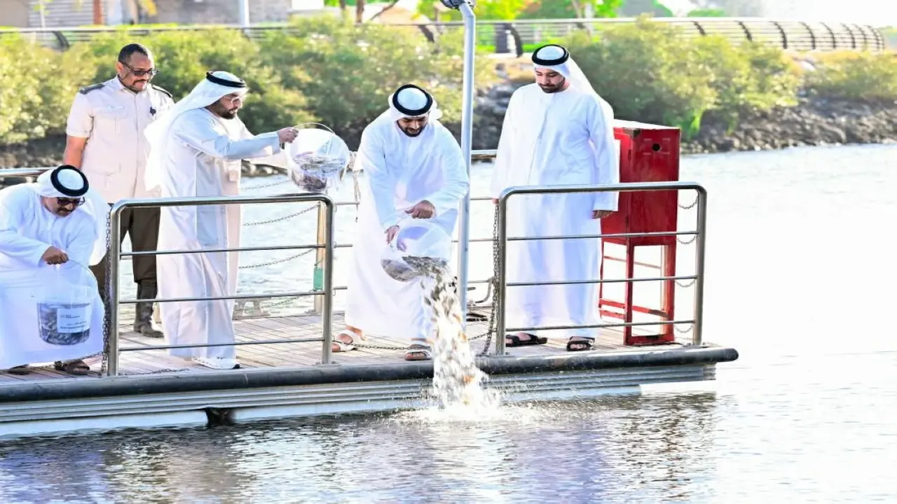 أحمد بن سعود يزرع الإصبعيات في كورنيش القواسم لتحسين الثروة السمكية